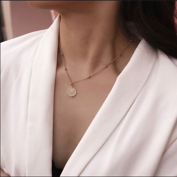 Zodiac sign coin pendant necklace - Picture 10 of 12